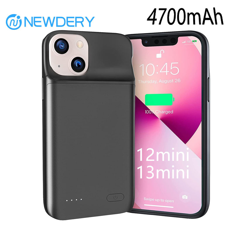 NEWDERY 4800mAh Slim Battery C - Power Bank Slim review and price
